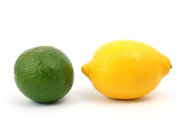 Image showing lemon orange and citron fruit