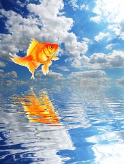 Image showing blue sky and goldfish