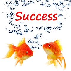 Image showing success