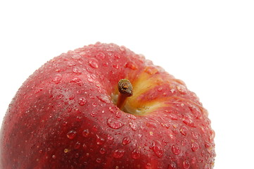 Image showing fresh red apple isolated on white background