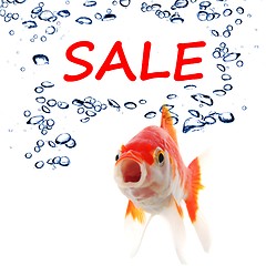 Image showing sale
