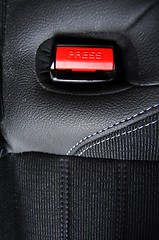 Image showing seat belt