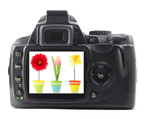 Image showing dslr with summer flower