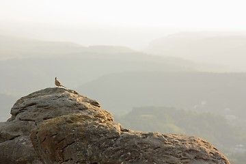 Image showing Bird on a rock on a background of mountains in haze