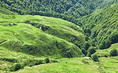 Image showing Volcanic plateau in Cantal