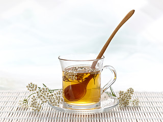 Image showing herbal tea 