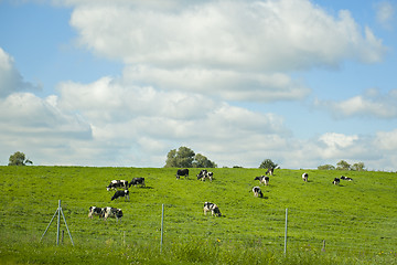 Image showing Idyll landscape