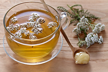 Image showing fresh herbal tea