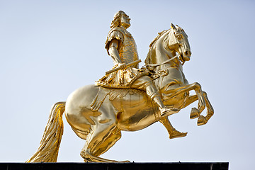 Image showing golden rider