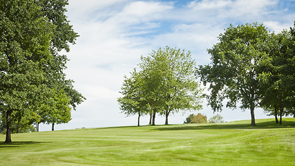 Image showing green landscape
