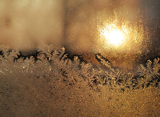 Image showing frost and sun