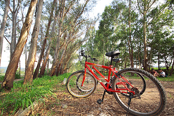 Image showing bike in forest