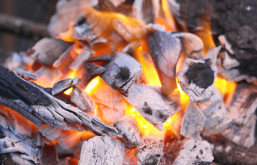 Image showing Decaying red coals of a tree in a fire 