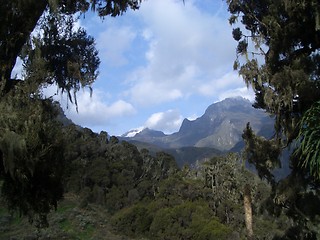 Image showing Mount Margherita in Rwenzori