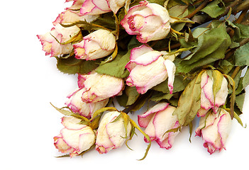 Image showing Dried roses