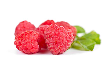 Image showing fresh raspberry