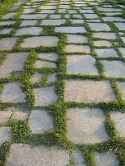 Image showing Green Flagstones