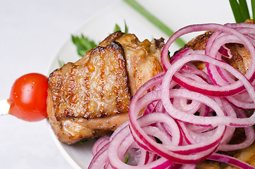Image showing Grilled kebab meat closeup