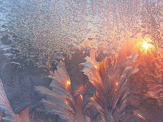 Image showing ice pattern and sunlight