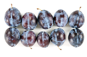 Image showing Ripe plums arranged in rows