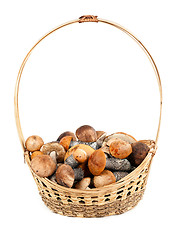 Image showing Basket with mushrooms