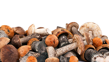 Image showing handful of fresh wild mushrooms