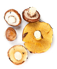 Image showing handful of mushrooms