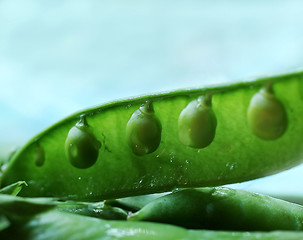 Image showing green pea 5