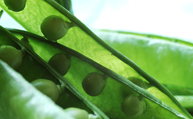 Image showing green peas3