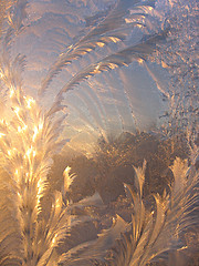 Image showing ice pattern and sunlight