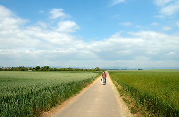 Image showing Summer field