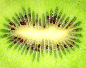 Image showing Background of the ripe kiwi slice