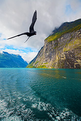 Image showing View of Geiranger