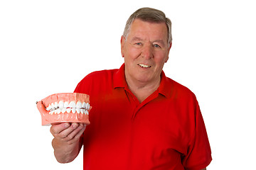 Image showing Senior with teeth model