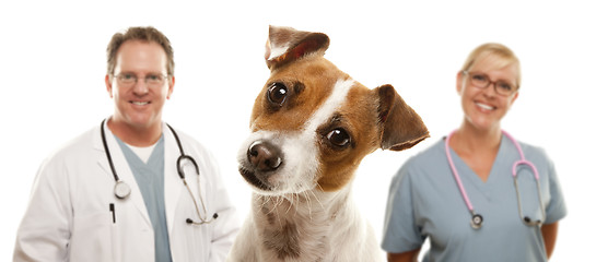 Image showing Jack Russell Terrier and Veterinarians Behind