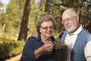 Image showing Attractive Senior Couple Overlooking Potted Plants