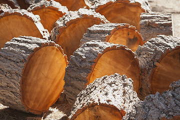 Image showing Abstract of Freshly Cut Pine Logs