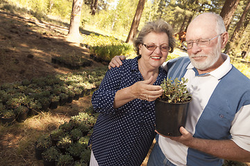 Image showing Attractive Senior Couple Overlooking Potted Plants