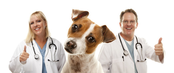 Image showing Jack Russell Terrier and Veterinarians Behind