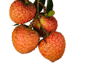 Image showing Litchi with green leaves