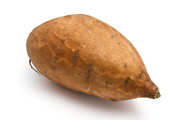 Image showing Sweet Potato