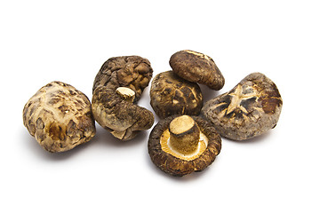 Image showing Dried mushrooms