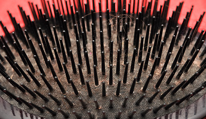 Image showing black comb