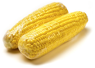 Image showing Corn