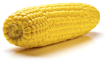 Image showing Corn
