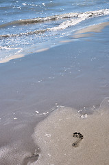 Image showing Footprint on beach