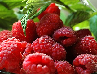 Image showing raspberries from garden