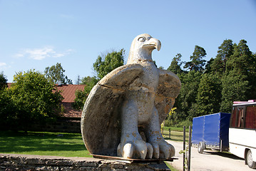 Image showing The eagle spreads wings