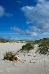 Image showing beach scene with blue sky