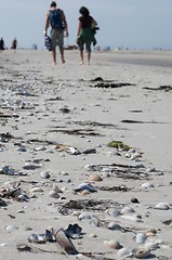 Image showing beach scene